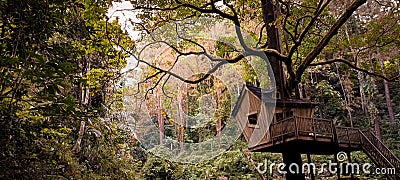 tree house without occupants Stock Photo