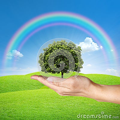 A Tree in human hands with blue sky and rainbow Stock Photo