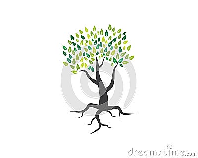 Tree icon logo template Vector Illustration