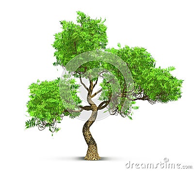 Tree isolated with high detailed leaves Cartoon Illustration