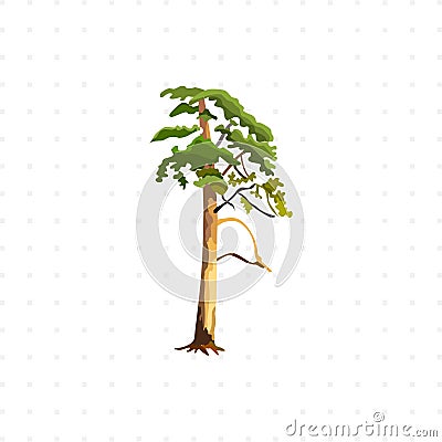 Tree illustration on white background Vector Illustration