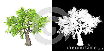 Tree isolated on white background with alpha mask Cartoon Illustration