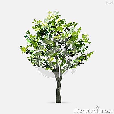 Tree isolated on white background. Use for landscape design, architectural decorative. Park and outdoor object idea. Vector Cartoon Illustration