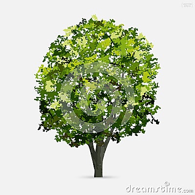 Tree isolated on white background. Use for landscape design, architectural decorative. Park and outdoor object idea. Vector Cartoon Illustration