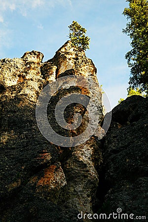 Tree on a jagged cliff Stock Photo