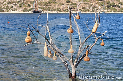 Tree with jars in water Stock Photo