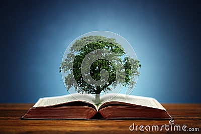 Tree of knowledge Stock Photo