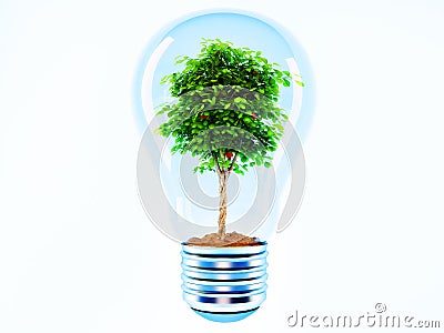 Tree in a lamp Stock Photo