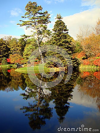 Tree landscape across Asticou Azalea Garden, Maine Stock Photo