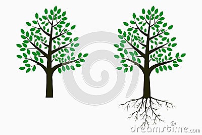 Tree with leaf and root. Set of trees. Vector. Vector Illustration