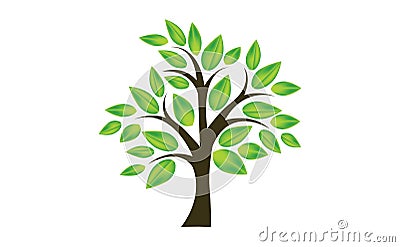 Tree leaf Vector Illustration