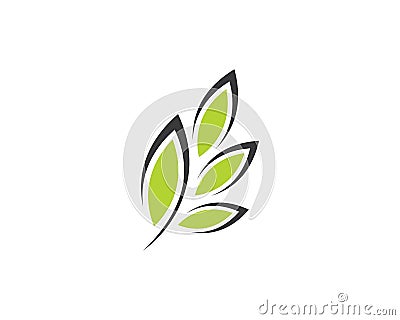 Tree leaf vector logo design Vector Illustration