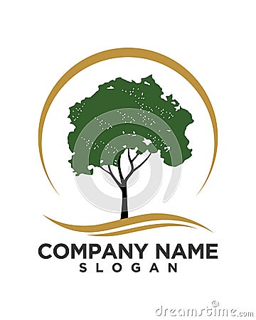 Tree leaf vector logo design, eco-friendly concept. Stock Photo