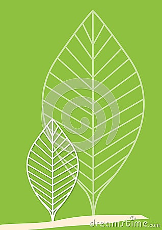 Tree leaves Vector Illustration