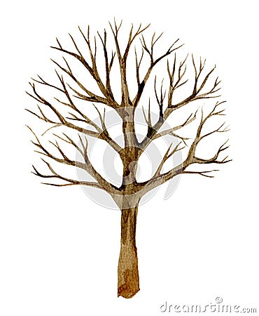 Tree without leaves, silhouette, winter tree isolated on white background, watercolor Cartoon Illustration