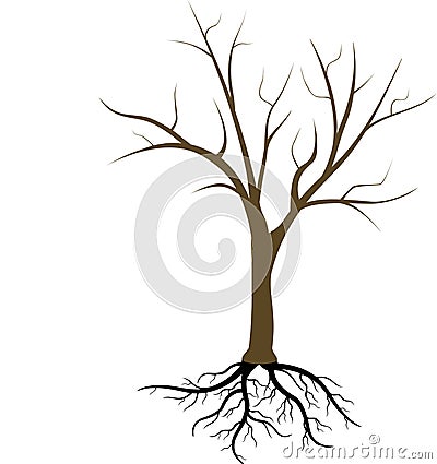 Tree without leaves Vector Illustration