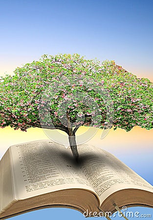 Tree of life bible Stock Photo