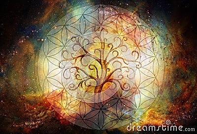 Tree of life symbol and flower of life and space background, yggdrasil. Stock Photo