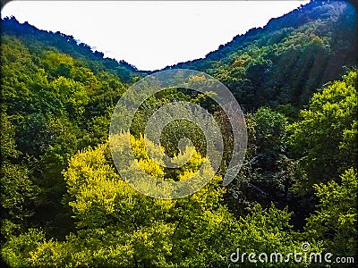 Tree line of mendota heights Stock Photo