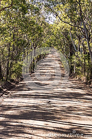 Tree lined Australian country rural dirt road surrounded by eucalyptus gum trees Stock Photo