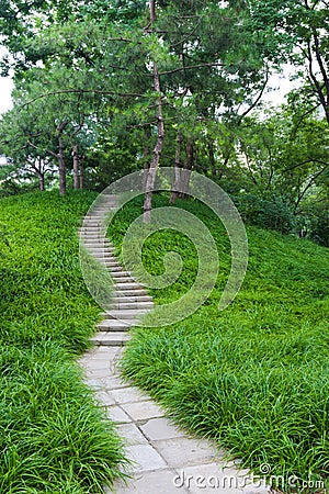 Tree-lined path Stock Photo