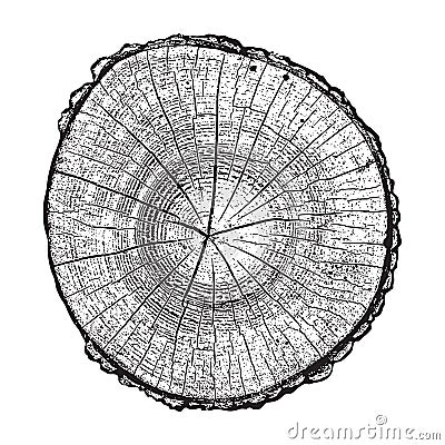 Tree log, wood growth rings grunge texture vector illustration Vector Illustration