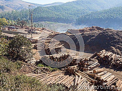 Tree logging in rural Swaziland with heavy machinery, stacked timber and forest in background, Africa Stock Photo