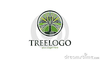 Tree Logo Stock Photo