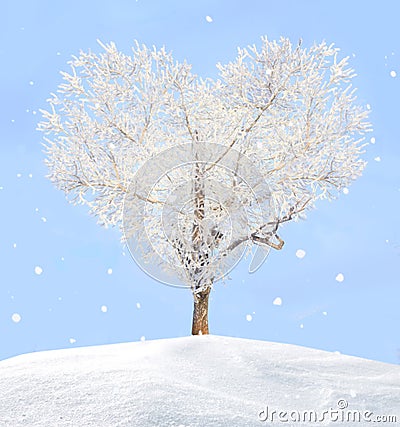 Tree Of Love Royalty Free Stock Images - Image: 27905939