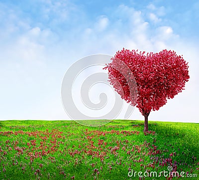 Tree of love Stock Photo