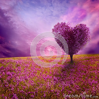 Tree of love Stock Photo