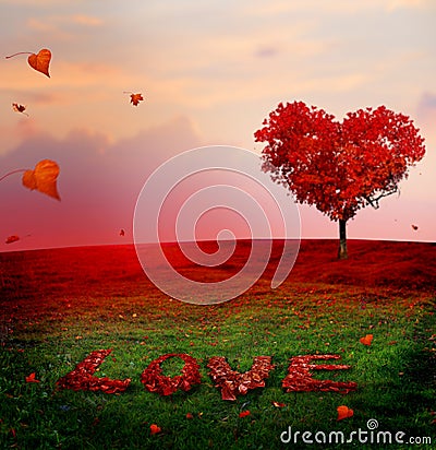 Tree of love in autumn. Red heart shaped tree at sunset.Autumn s Stock Photo