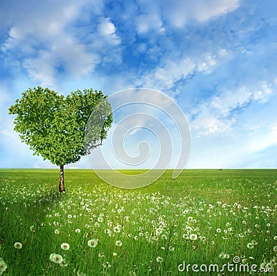 Tree of love Stock Photo