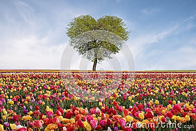 Tree of love in spring. Heart shaped tree against blue sky. Beautiful landscape with flowers.Love background Stock Photo