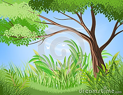 Tree and lush foliage scene vector Vector Illustration