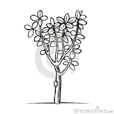 Vector woodcut print style tree Vector Illustration