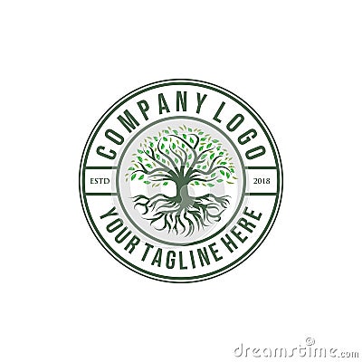 Olive or oak tree logo designs , vintage style Vector Illustration