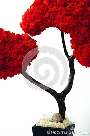 Tree old bark wood leaf leaves planter red Stock Photo