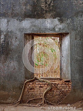 Tree in old window inside vintage Thai temple Stock Photo