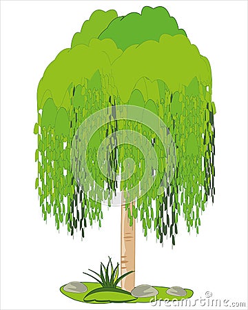 Tree osier on white background is insulated Vector Illustration