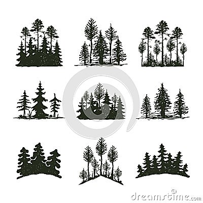 Tree outdoor travel black silhouette coniferous natural badge, tops pine spruce branch cedar and plant leaf abstract Vector Illustration