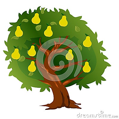 Tree pear with fruit and green leaves Vector Illustration