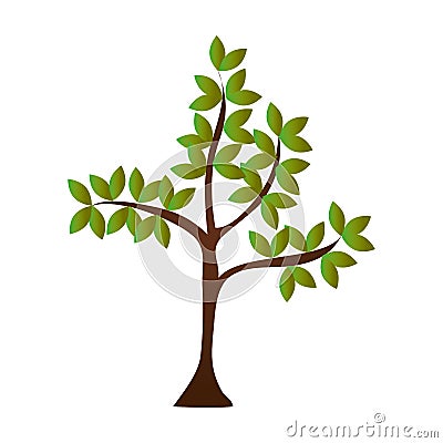 Tree plant nature icon Vector Illustration