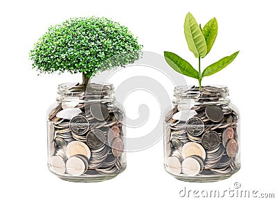 Tree plumule leaf on save money coins, Business finance saving banking investment concept Stock Photo