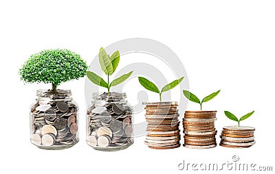 Tree plumule leaf on save money coins, Business finance saving banking investment concept Stock Photo