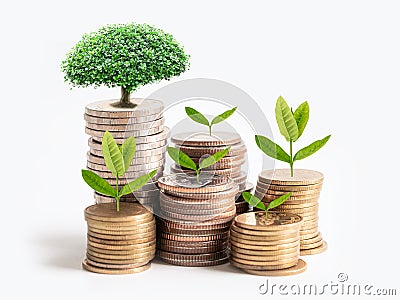 Tree plumule leaf on save money stack coins, Business finance saving banking investment concept Stock Photo