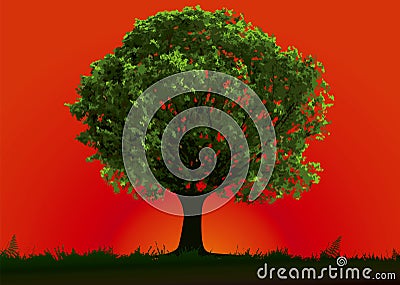 Tree and red sunset Vector Illustration