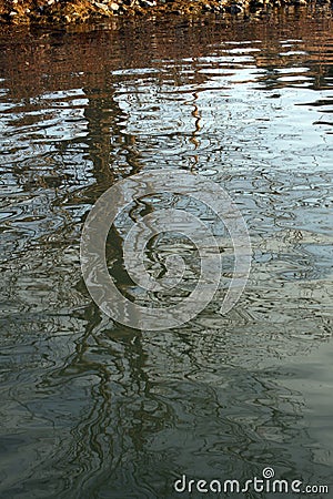 Tree reflected on water Stock Photo
