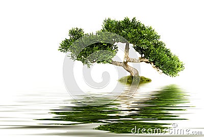 Tree reflecting in water Stock Photo