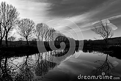 Tree reflection Stock Photo